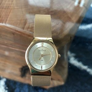 Women’s Skagen Stainless Steel Gold Tone Watch
